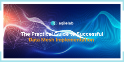 Cover of the white paper titled: The Practical Guide to Successful Data Mesh Implementations