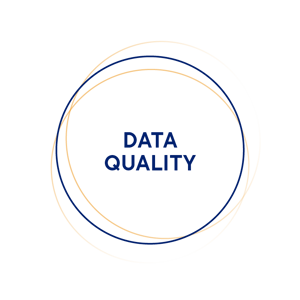witboost_moduli-data-quality
