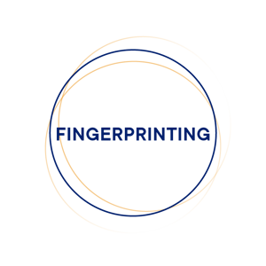 witboost_moduli-fingerprinting