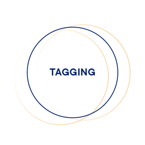 witboost_moduli-tagging