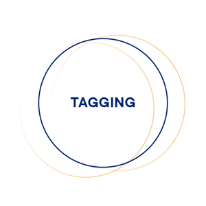 witboost_moduli-tagging witboost_moduli-tagging
